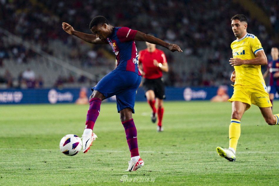 两到三年的 两到三年的